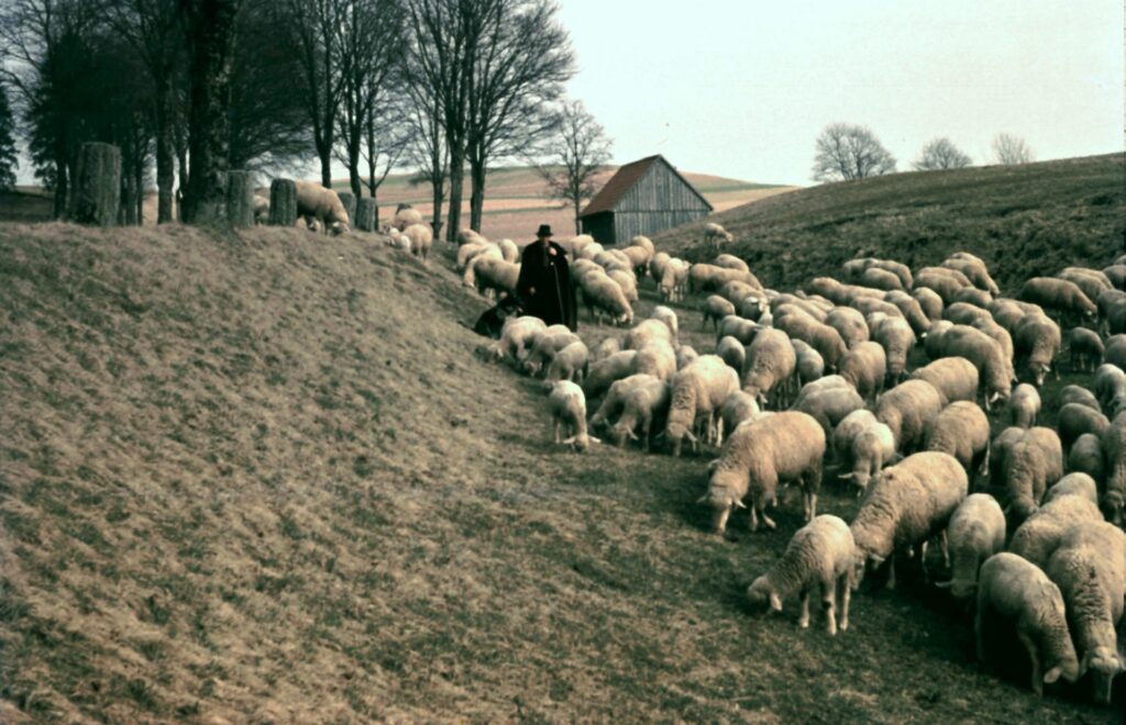 Gschwend - Frickenhofer Str_Ansichten - 1960000000